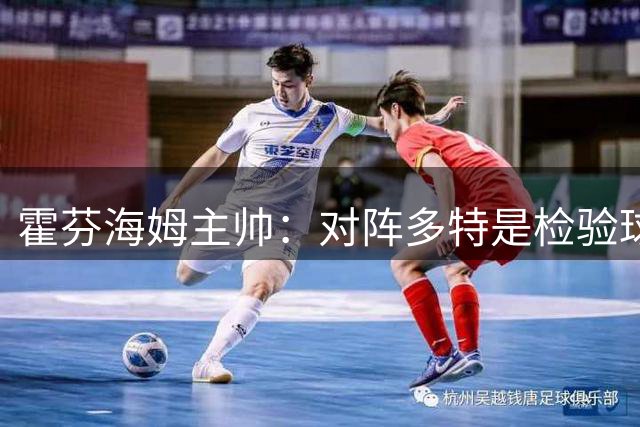 霍芬海姆主帅：对阵多特是检验球队的机会；阿斯拉尼将缺阵